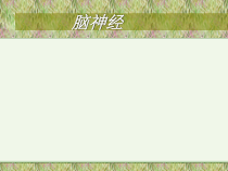 脑神经解剖学概要课件