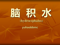 脑积水治疗和护理课件