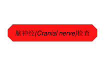 脑神经传导径路及体格检查课件