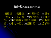 脑神经植物神经教学课件