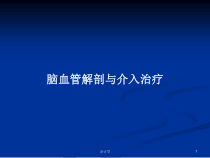 脑血管解剖与介入治疗学习教案课件