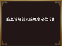 脑血管解剖及脑梗塞定位诊断课件