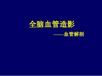 脑血管造影基本知识课件