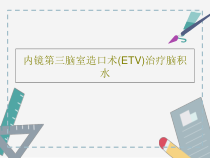 内镜第三脑室造口术ETV治疗脑积水共21张课件