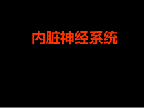 内脏神经课件