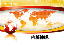 内脏神经课件_2