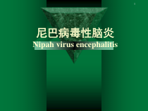 尼巴病毒性脑炎Nipahvirusencephalitis课件