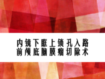 内镜下眶上锁孔入路前颅底脑膜瘤切除术课件