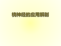 桡神经的应用解剖课件