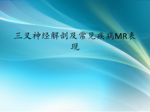 三叉神经解剖及MR表现课件