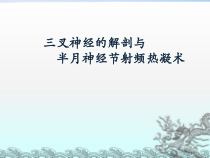 三叉神经解剖与热凝术课件
