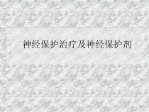 神经保护剂课件