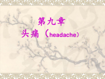 神经病学第九章头痛课件