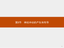 神经冲动的产生和传导课件1