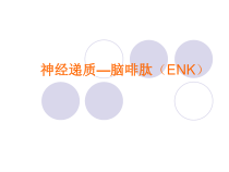 神经递质脑啡肽ENK课件