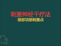 神经干刺激疗法课件