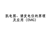 神经电生理基础详细课件