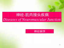 神经-肌肉接头疾病医学课件