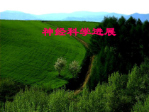 神经科学进展课件