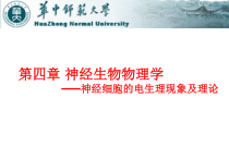 神经生物物理学课件