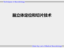 神经生物学实验课件