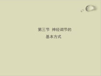 神经调节的基本方式课件完美版1