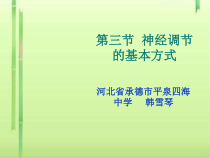 神经调节的基本方式课件28-人教版