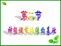 神经调节的结构基础课件6-济南版