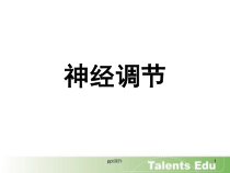 神经调节-课件