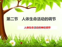 神经调节课件