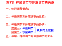 神经调节与体液调节的关系一轮复习课件
