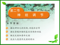 神经调节课件-苏教版