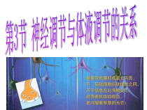 神经调节与体液调节关系课件