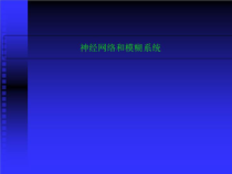 神经网络和模糊系统课件