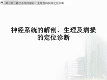 神经系统的解剖生理及病损的定位诊断课件