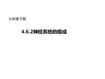 神经系统的组成公开课一等奖课件