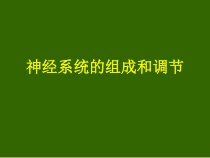 神经系统的组成和调节课件