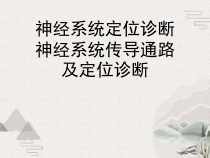 神经系统定位诊断神经系统传导通路及定位诊断课件