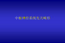 神经系统畸形课件共87页