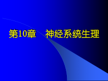 神经系统课件_2