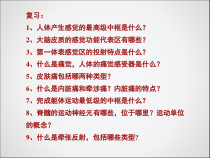 神经系统课件