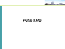 神经影像解剖课件