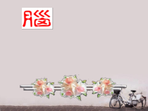 十二对脑神经-课件