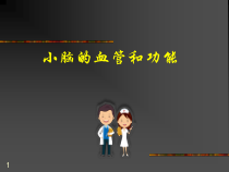 小脑血管和功能课件