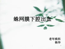新版蛛网膜下腔出血课件