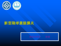 新型隐球菌脑膜炎课件