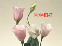 许10-脑及脑血管疾病概述第六次用课件