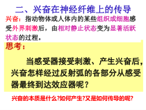 兴奋在神经纤维的传导过程课件