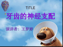 牙齿的神经支配课件