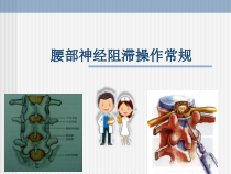 腰部神经阻滞操作常规课件